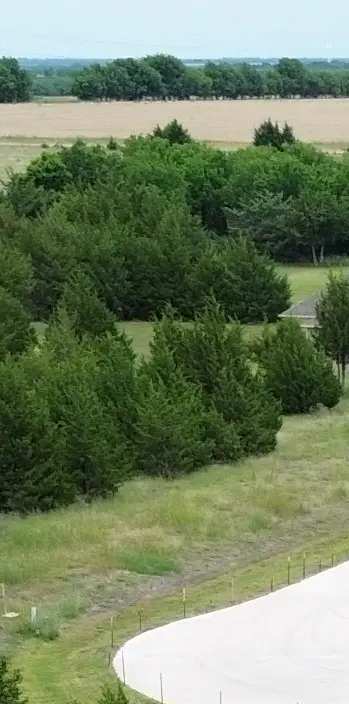tbv Evergreen Way Way, Nevada, TX 75173 - #1
