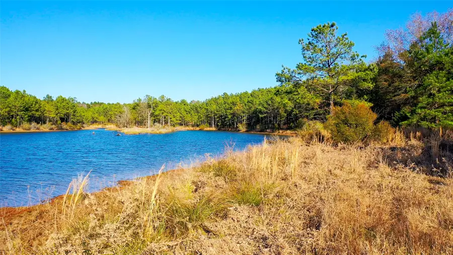 TBD Hwy 49, Jefferson, TX 75657 - #3