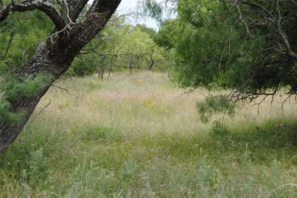 TBD Cr 127, Rising Star, TX 76857