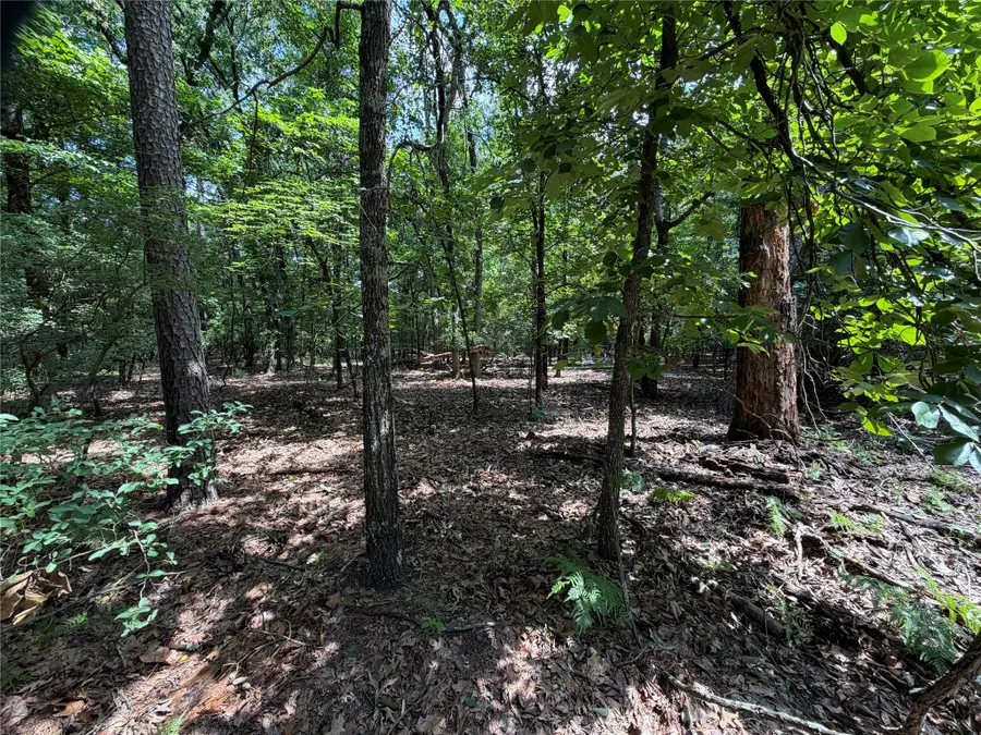 Lot 29 & 30 King Arthur Court, Scroggins, TX 75480 - #3