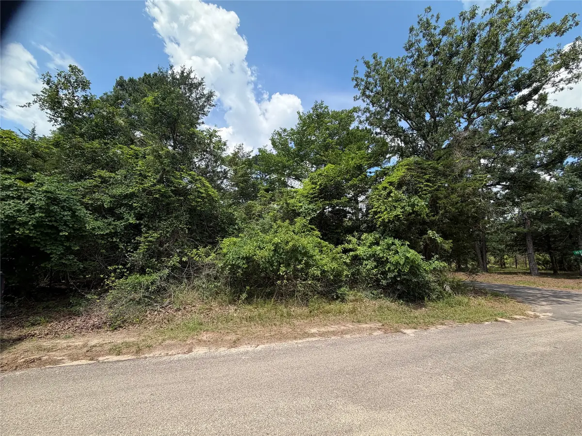 TBD King Lake Road, Scroggins, TX 75480 - #1