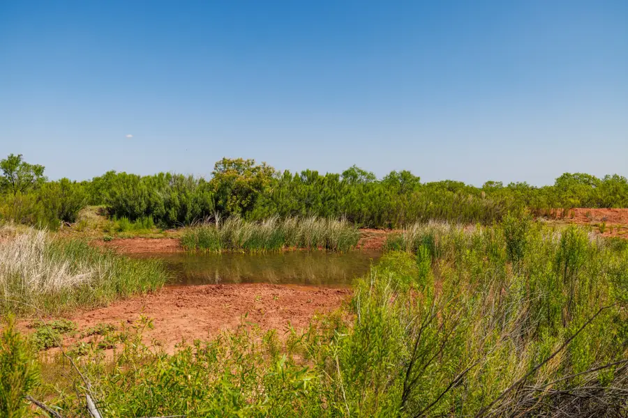 TBD 179 County Rd 161, Trent, TX 79561 - #2