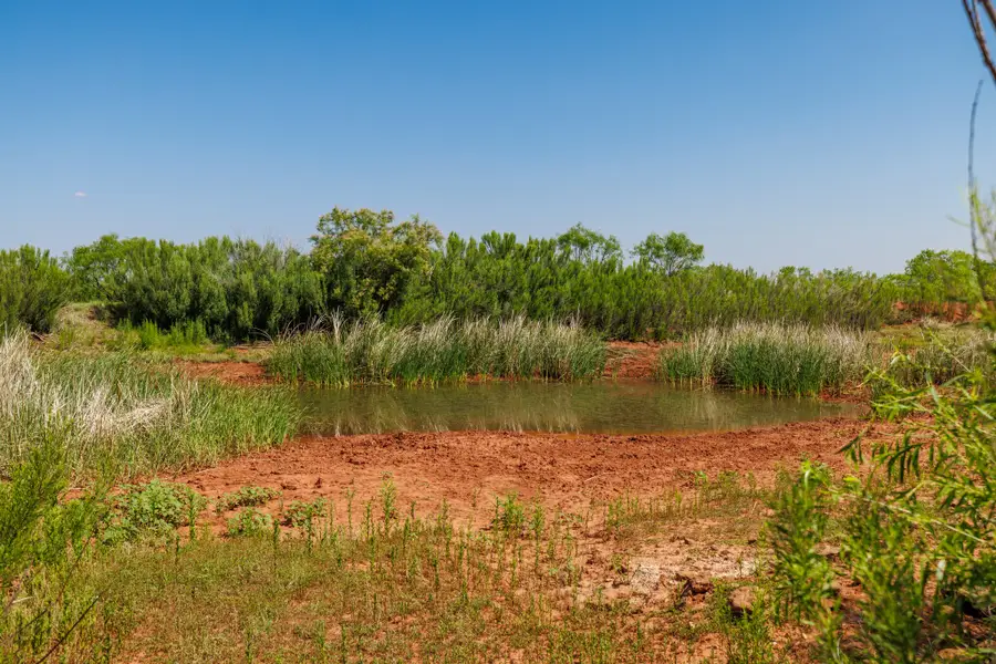 TBD 179 County Rd 161, Trent, TX 79561 - #3