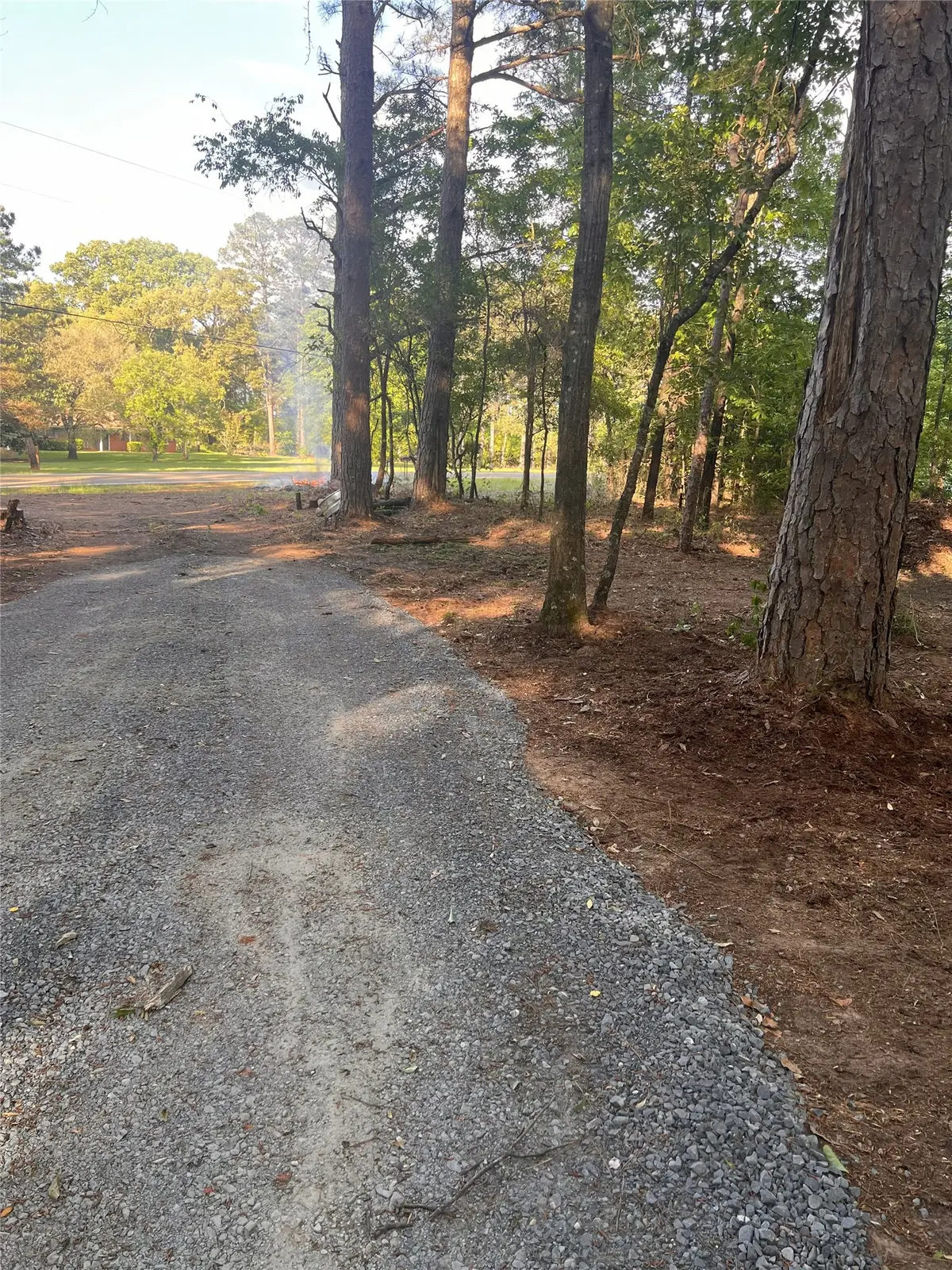 26819 Hwy 157, Shongaloo, LA 71072 - #1