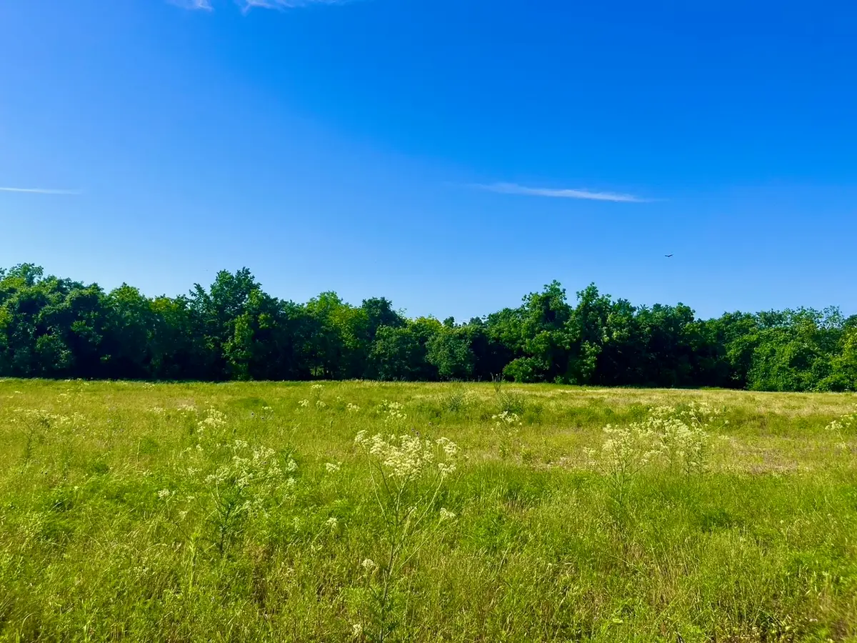 Lot 65 Kilkenny Road, Poolville, TX 76487 - #1