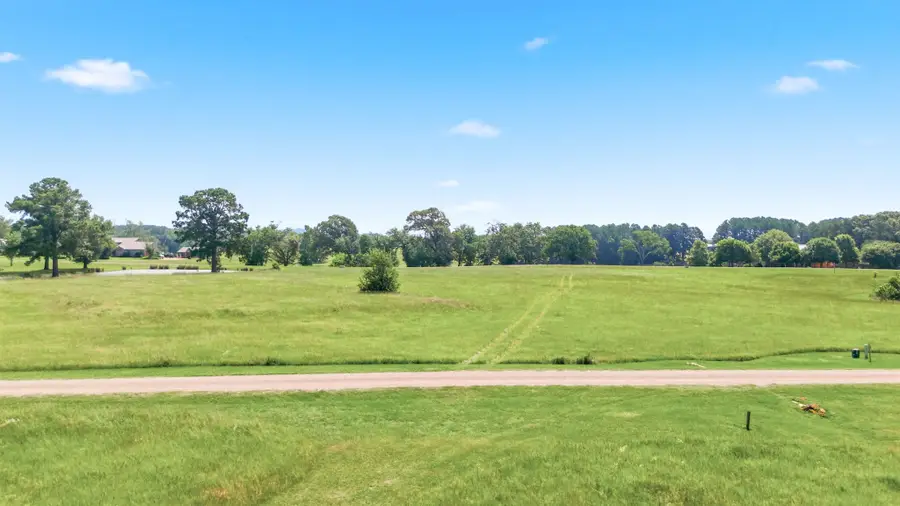 Lot 20 Caddo Creek Circle, Larue, TX 75770 - #3