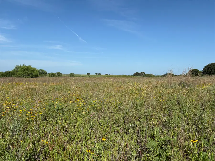 16 Acres TBD Fm 571, Gorman, TX 76454 - #2