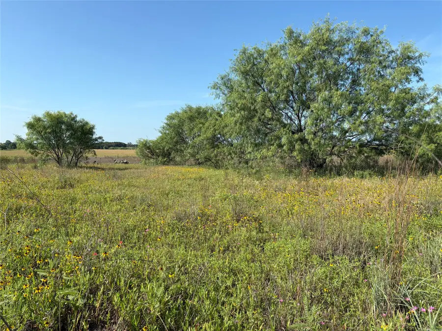16 Acres TBD Fm 571, Gorman, TX 76454 - #3