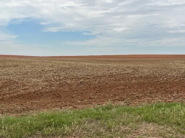 TBD Fm 611 W, Rotan, TX 79546 - #3