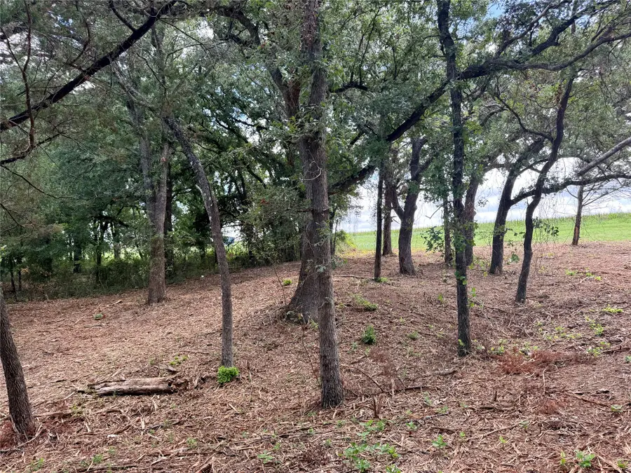 TBD +/- 10 ACRES Fm 309, Hillsboro, TX 76645 - #3