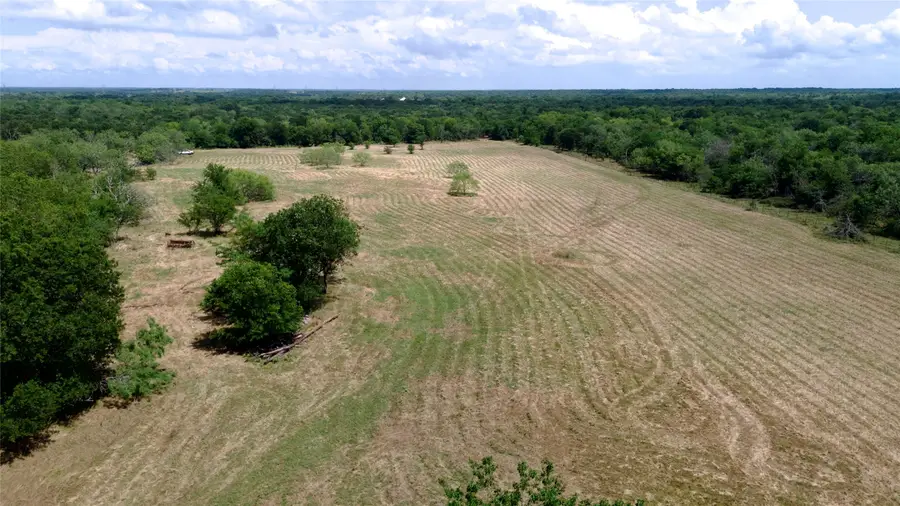 168+/- Acres Sh-14, Wortham, TX 76681 - #2