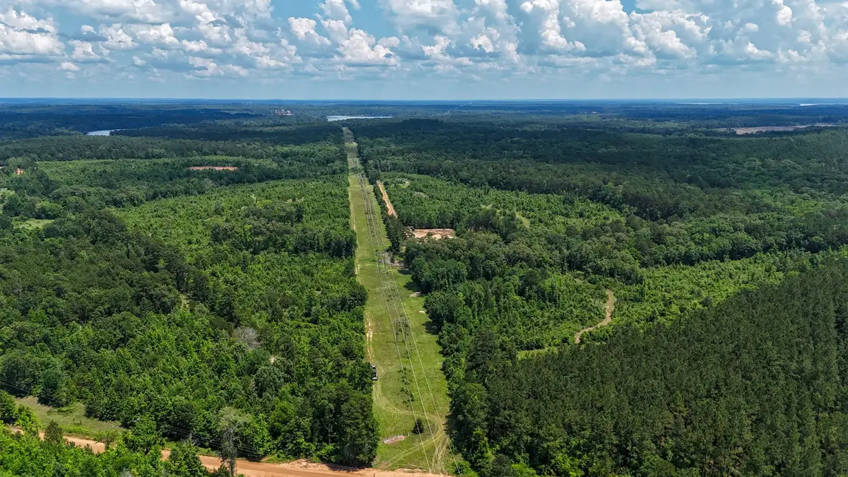 000 Avinger Cutoff Road, Avinger, TX 75630 - #1