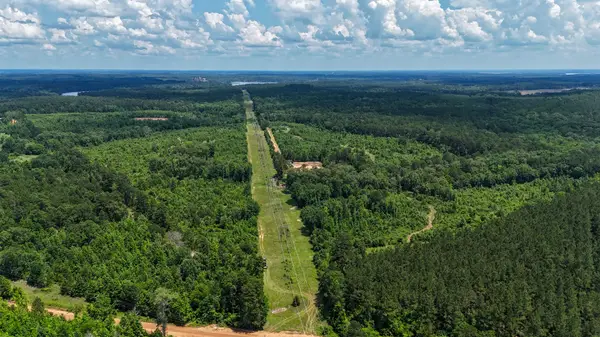 000 Avinger Cutoff Road, Avinger, TX 75630