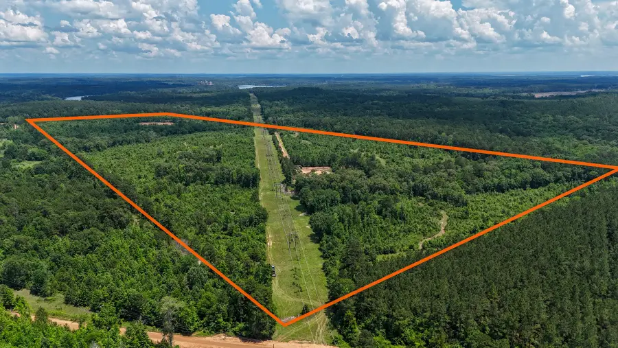 000 Avinger Cutoff Road, Avinger, TX 75630 - #2
