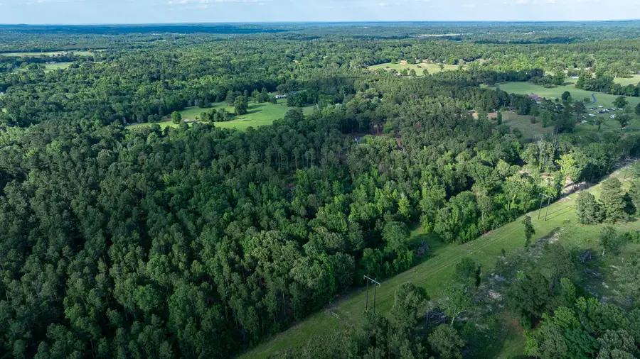 22924 County Road 223, Arp, TX 75750 - #2