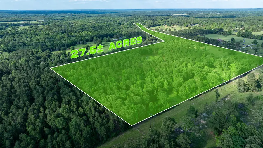 22924 County Road 223, Arp, TX 75750 - #3