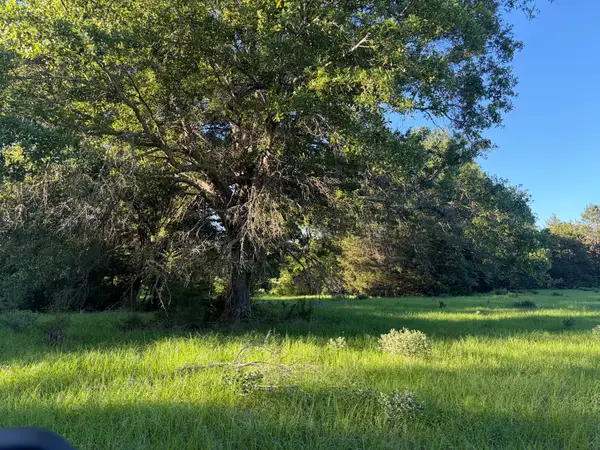289 Fcr 261, Oakwood, TX 75855