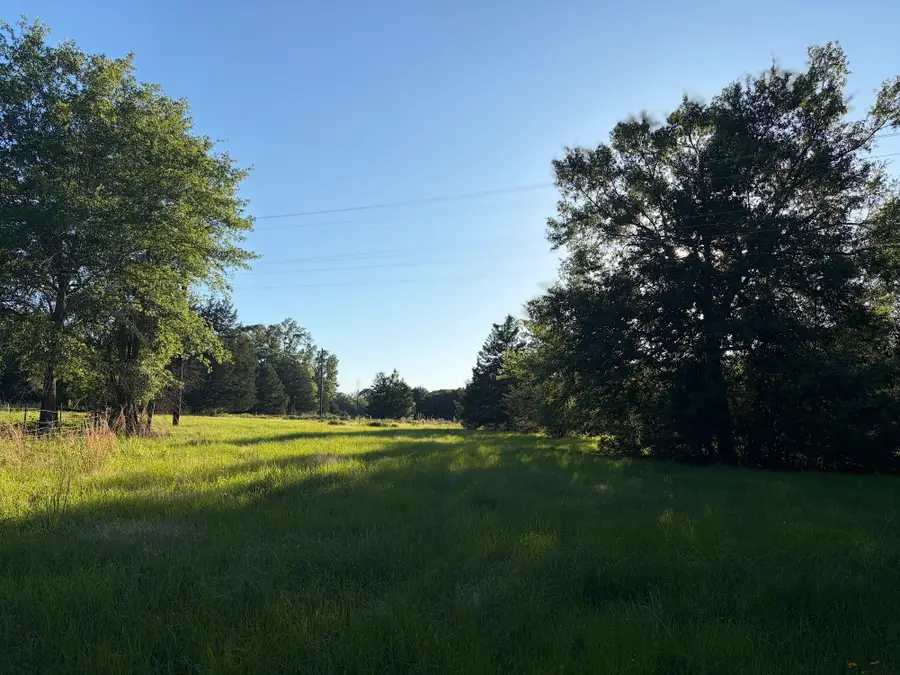 289 Fcr 261, Oakwood, TX 75855 - #3