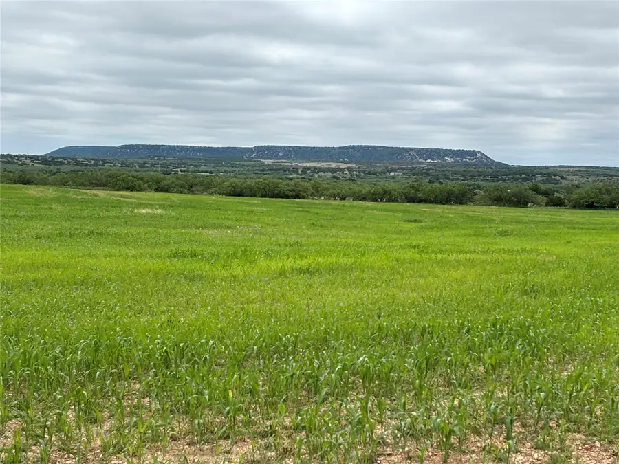 202 County Road 312, Winters, TX 79567 - #2