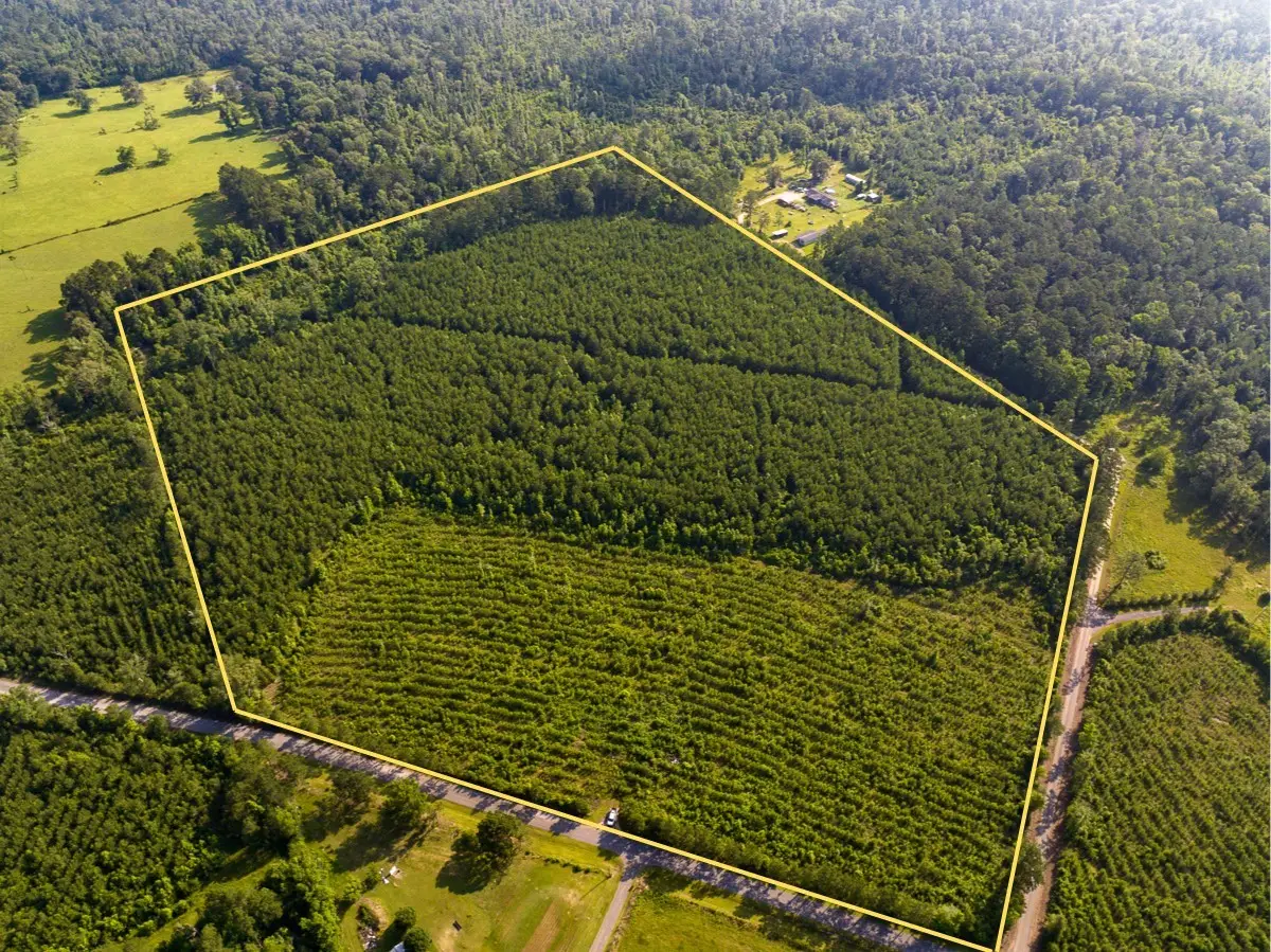 T-2 Ellis West Road, Pitkin, LA 70656 - #1