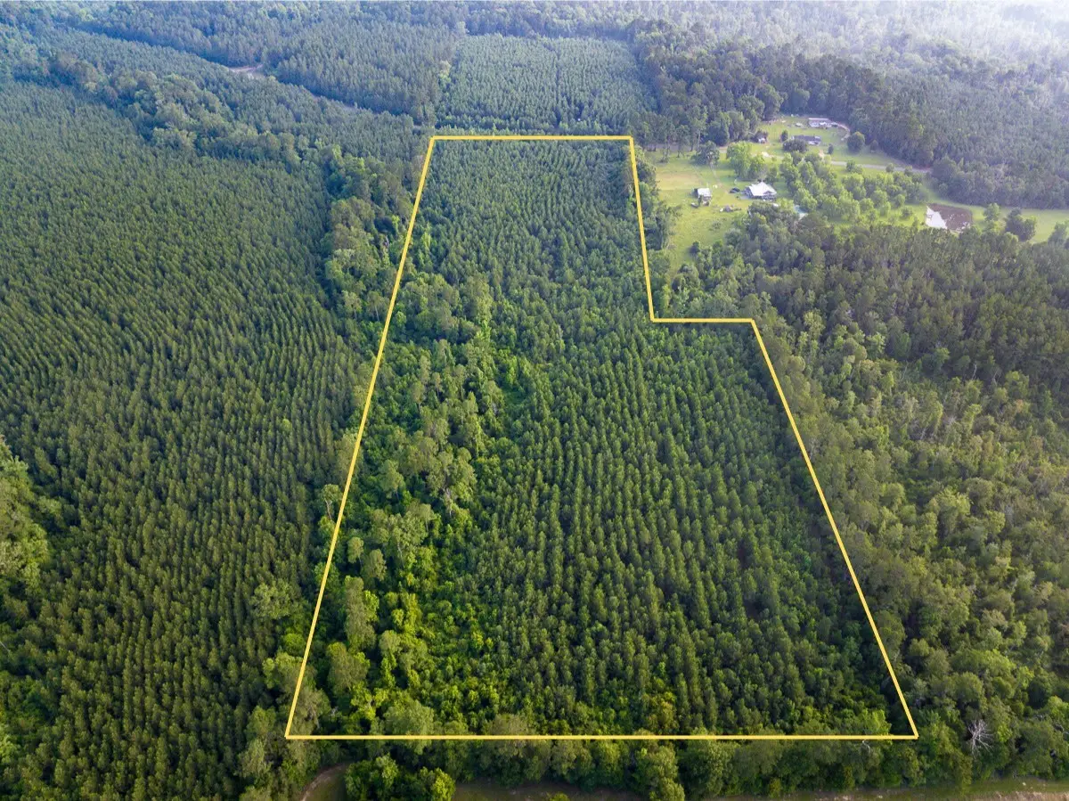 T-2 Dido Loop, Pitkin, LA 70656 - #1
