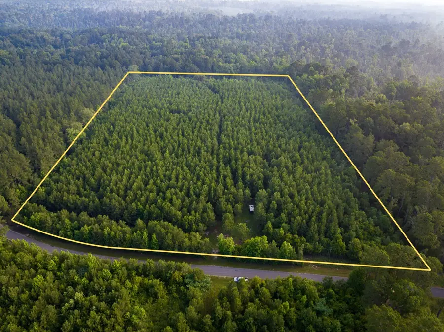 T-2 Dido Loop, Pitkin, LA 70656 - #2
