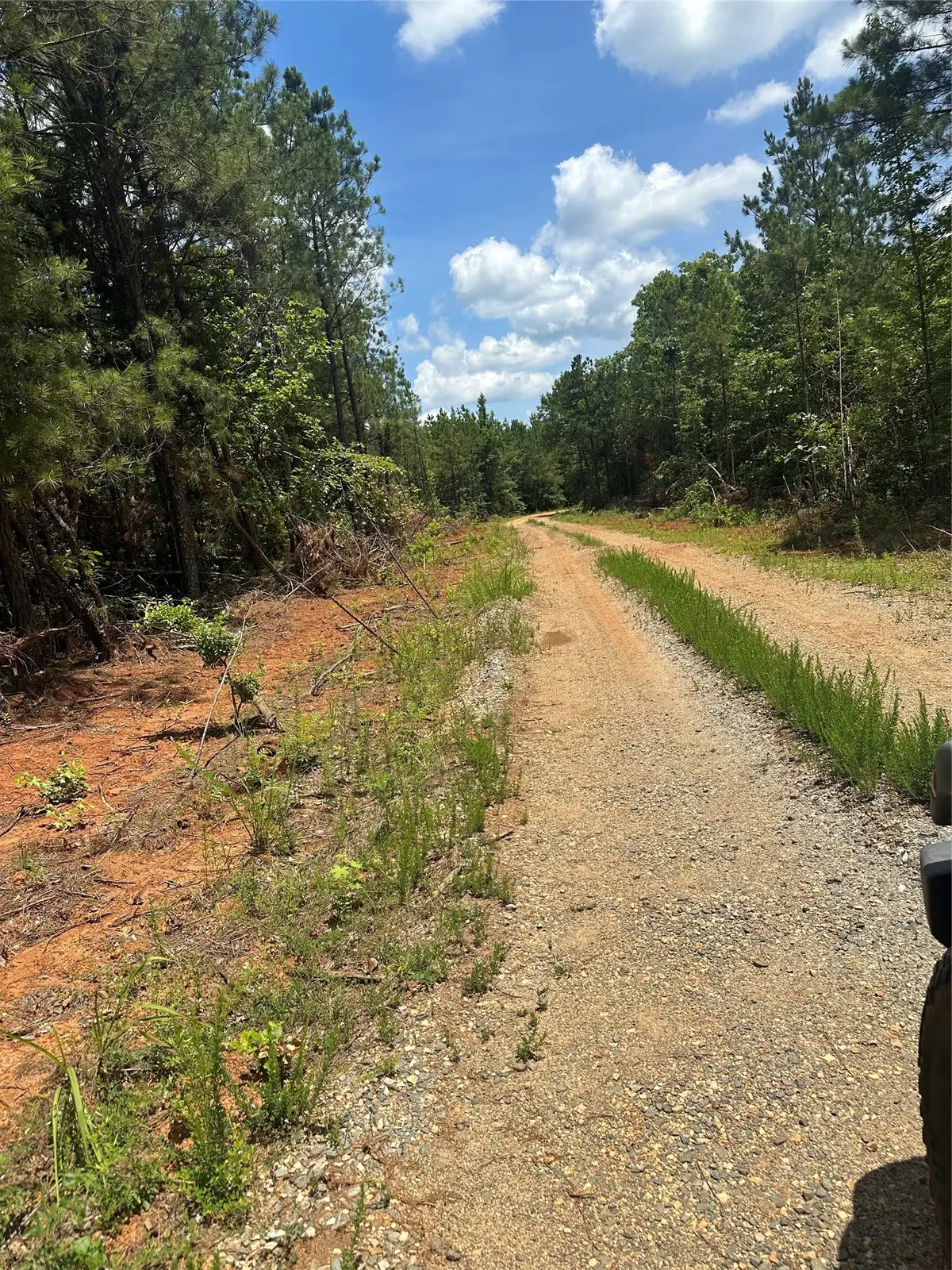 00 Maxey, Haynesville, LA 71035 - #1