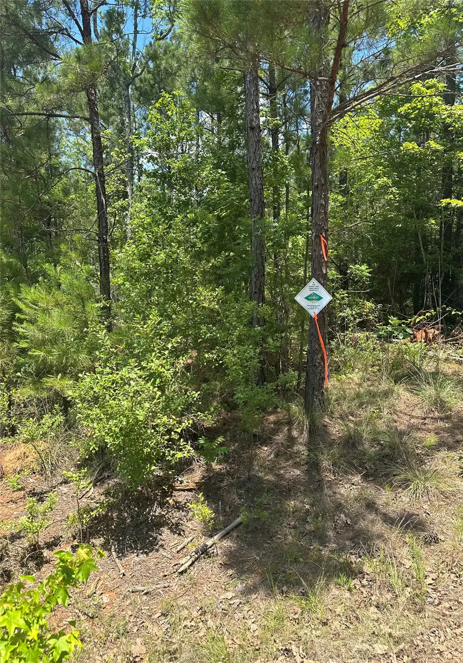00 Maxey, Haynesville, LA 71035 - #2