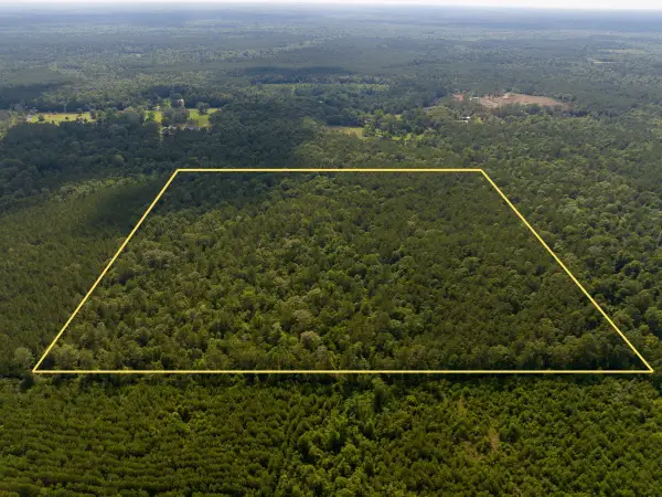 Off Webb Spikes Road, DeRidder, LA 70653