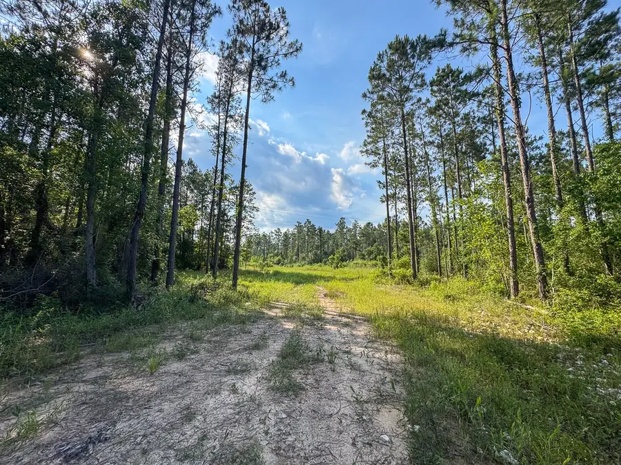 0 Highway 165, Kinder, LA 70648 - #2