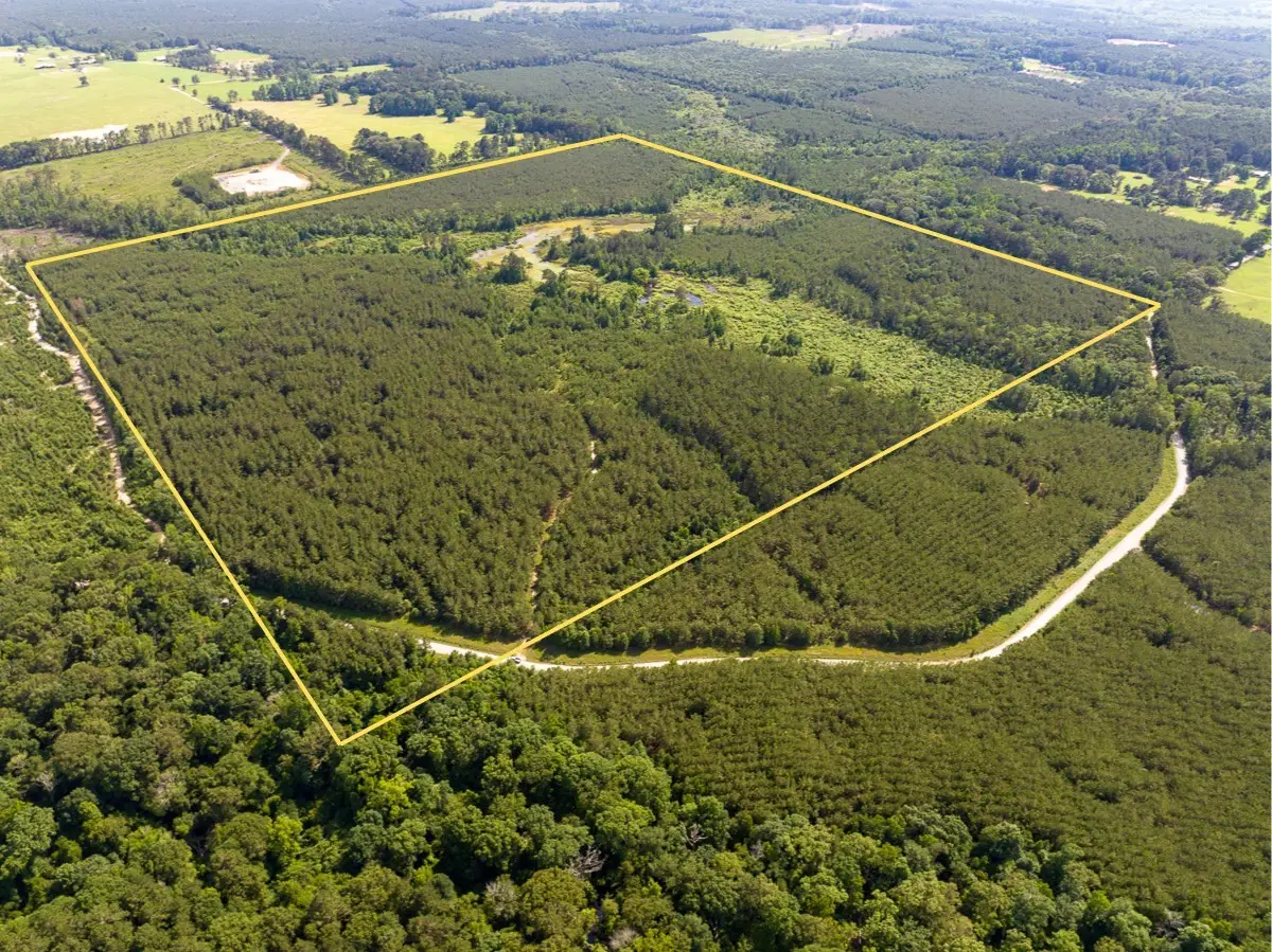 0 Ferguson Road, Coushatta, LA 71019 - #1