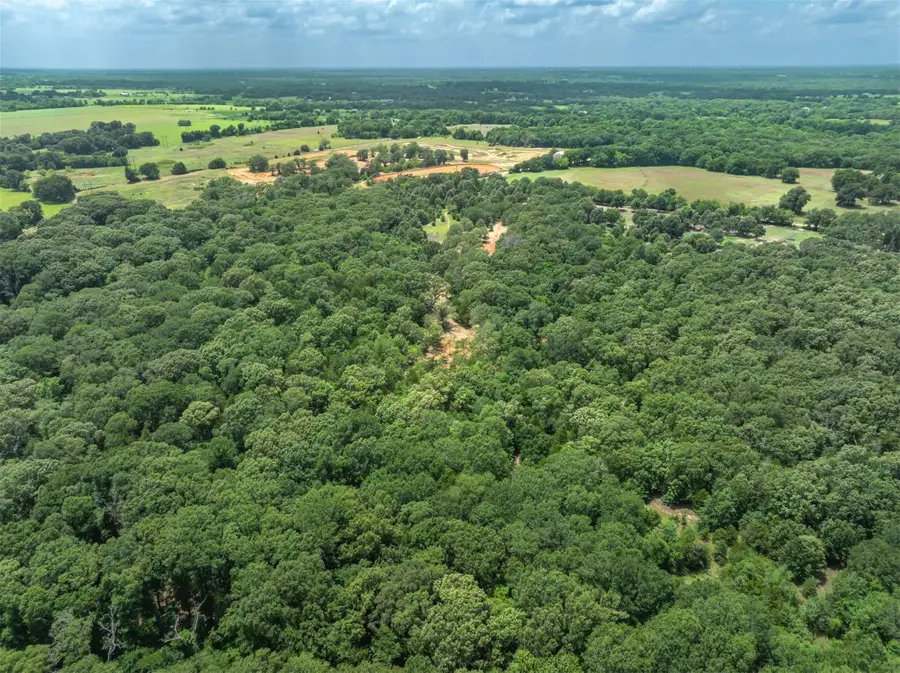 TBD Tx-19, Edgewood, TX 75117 - #3