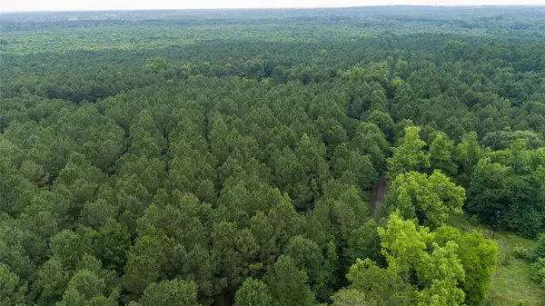 TBD Cr 4510, Pittsburg, TX 75686