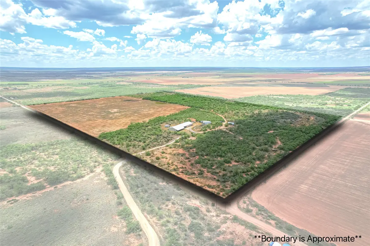14867 County Road 407, Trent, TX 79561 - #1