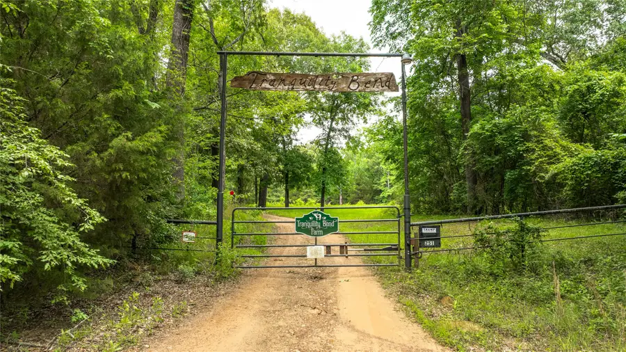 251 Private Road 8179, Ben Wheeler, TX 75754 - #3