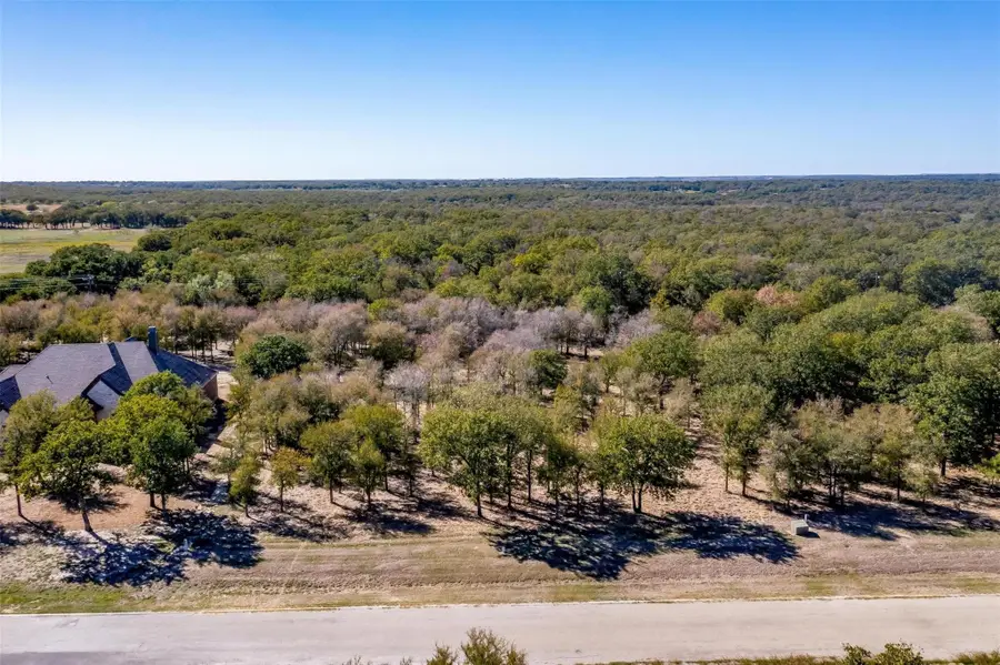 332 Sugartree Circle, Lipan, TX 76462 - #2
