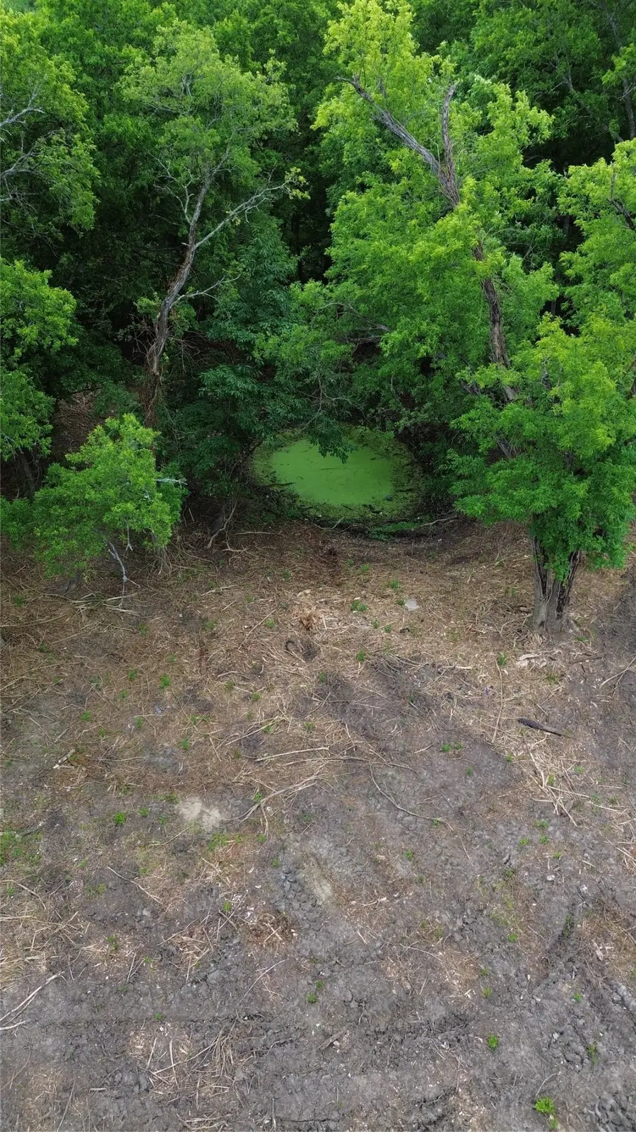 Tbd Eastman, Ladonia, TX 75449 - #3