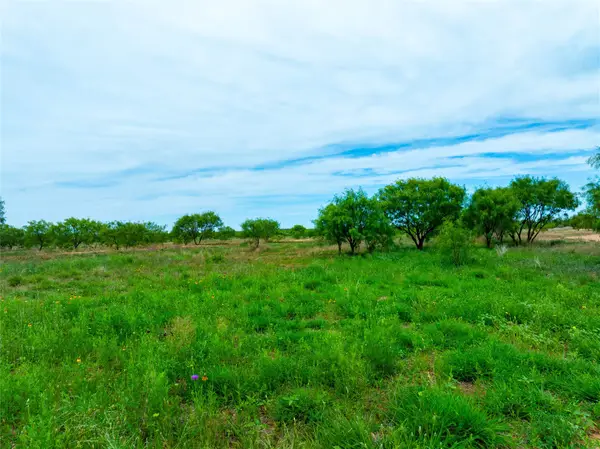 13450 County Road 440, Merkel, TX 79536