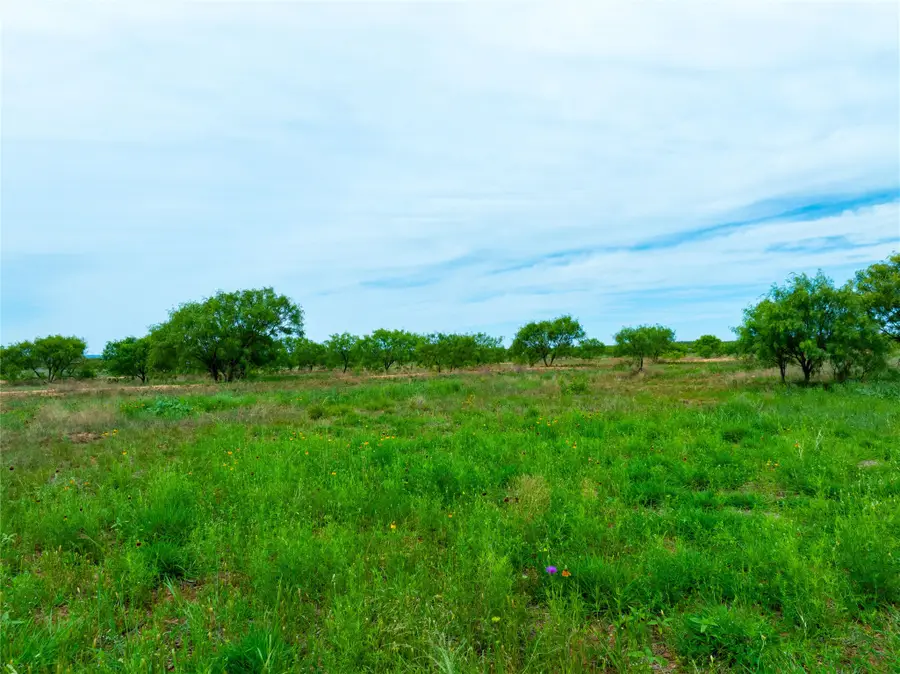 13450 County Road 440, Merkel, TX 79536 - #2
