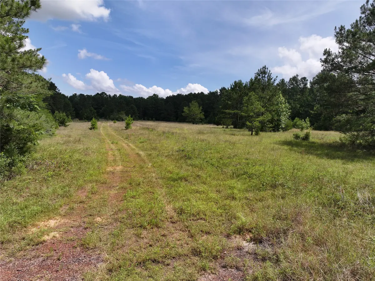 na Cr 3050, Colmesneil, TX 75938 - #1