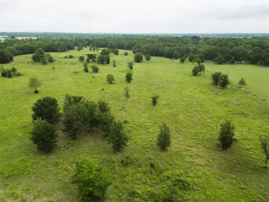 30.213Ac County Road 4766, Sulphur Springs, TX 75482 - #2