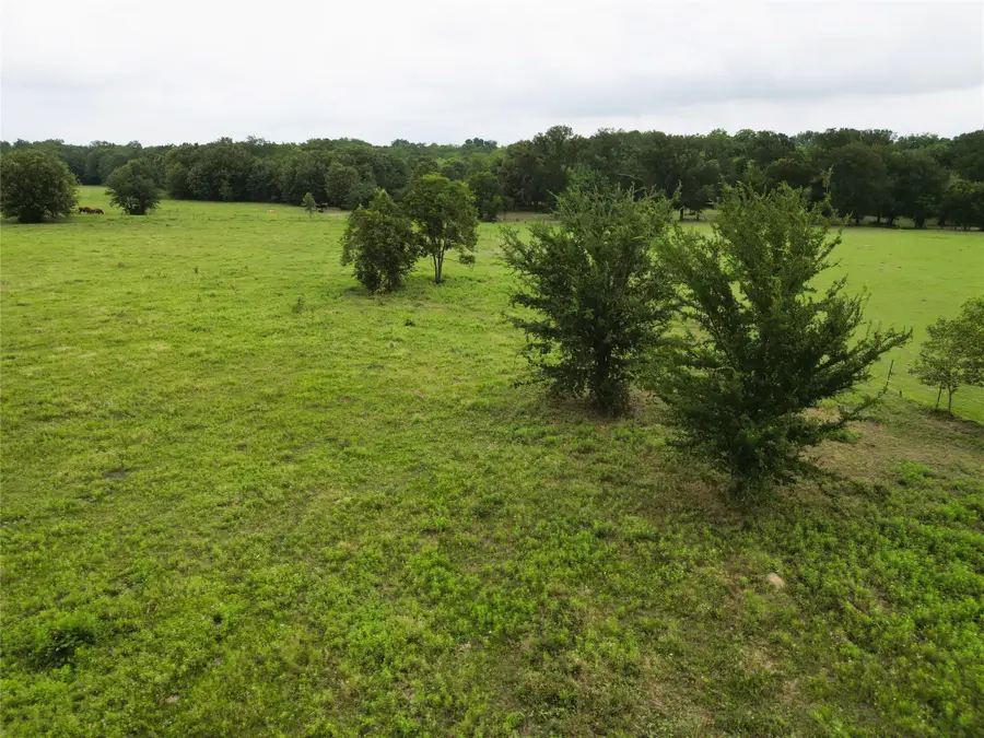 30.213Ac County Road 4766, Sulphur Springs, TX 75482 - #3