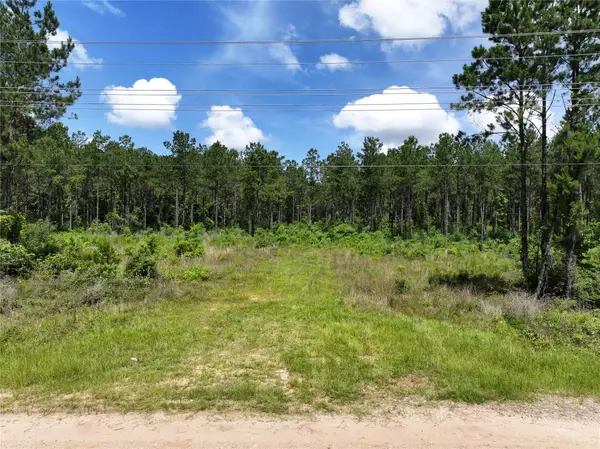 na C.r. 3050, Woodville, TX 75938