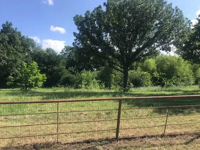 420 Kinney Drive, Murphy, TX 75094 - #3