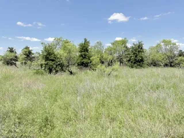 00 Ambruss Jones Road, Henrietta, TX 76365 - #2