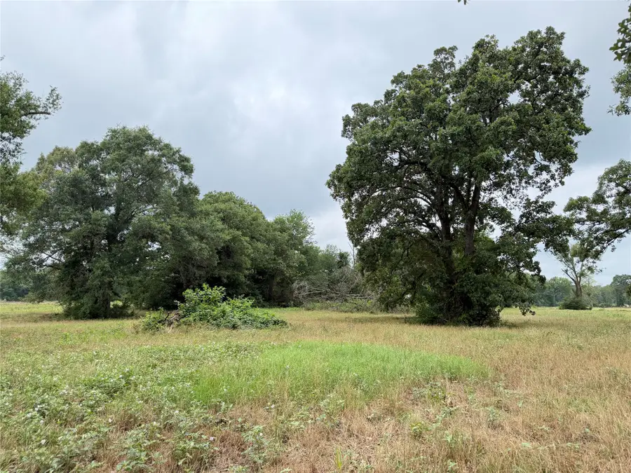 TBD Fm 1000, Cookville, TX 75558 - #2