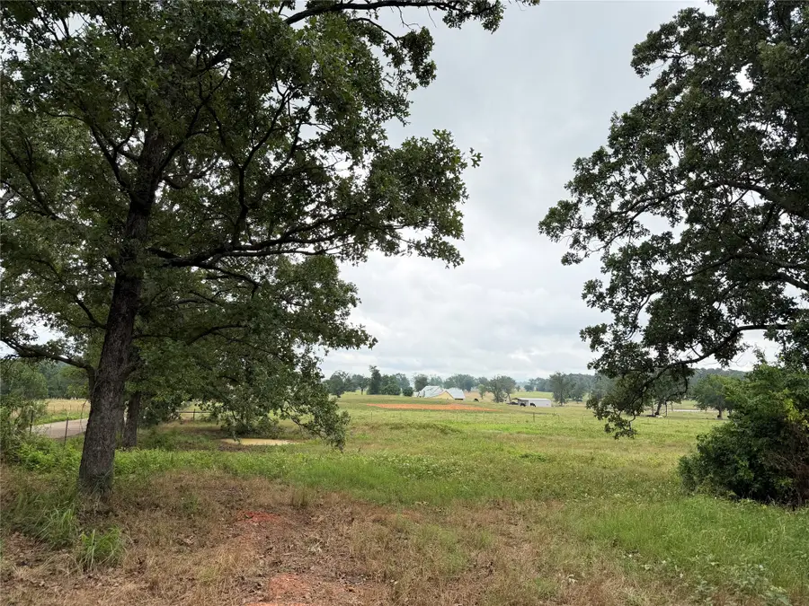 TBD Fm 1000, Cookville, TX 75558 - #3