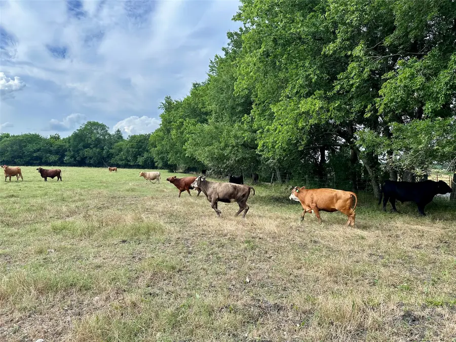 2129 County Road 2130, Cooper, TX 75432 - #3