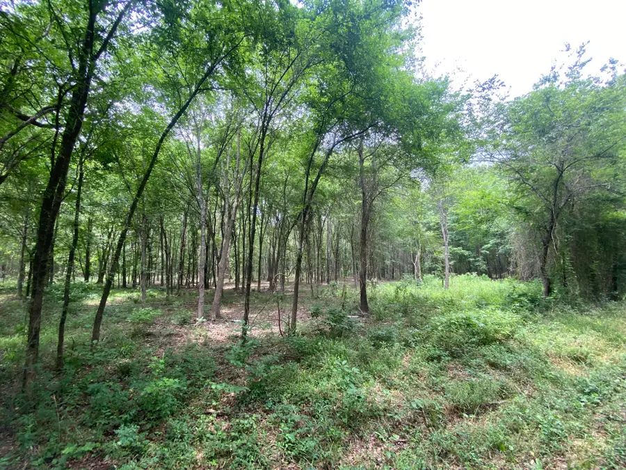 Lot 10 & 11 Cr 3920, Mount Pleasant, TX 75455 - #2
