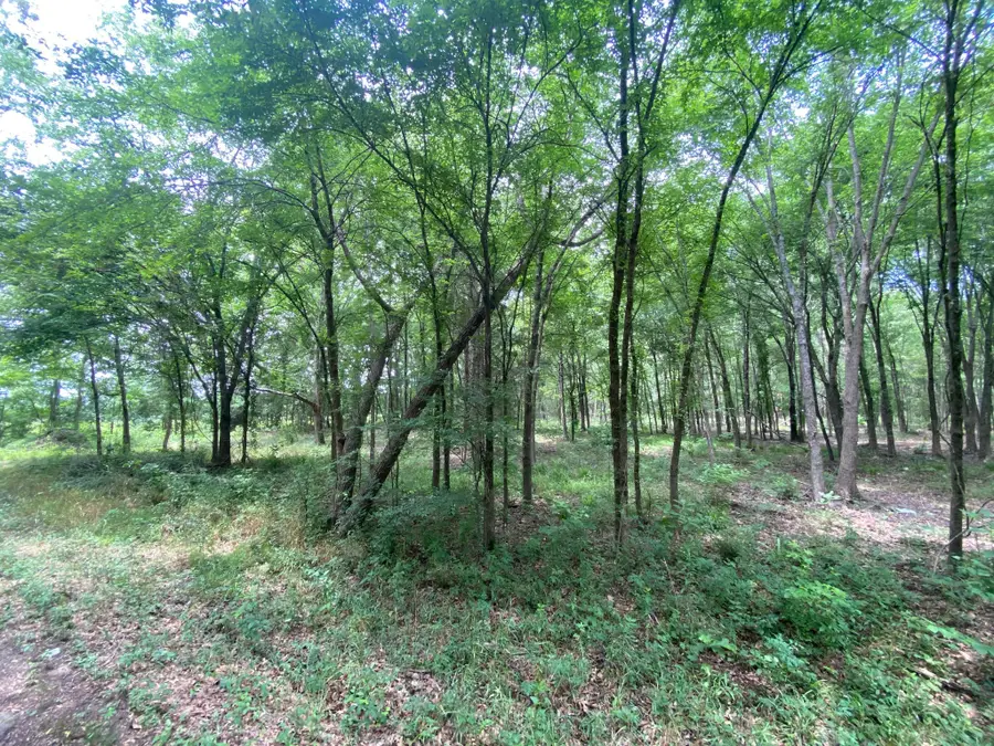 Lot 10 & 11 Cr 3920, Mount Pleasant, TX 75455 - #3